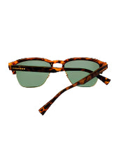 Cargar imagen en el visor de la galería, New Classic Aligator