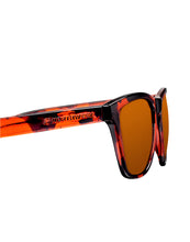 Cargar imagen en el visor de la galería, Regular Tortoise