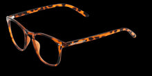 Cargar imagen en el visor de la galería, Blue Light Tortoise
