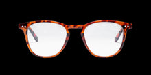 Cargar imagen en el visor de la galería, Blue Light Tortoise
